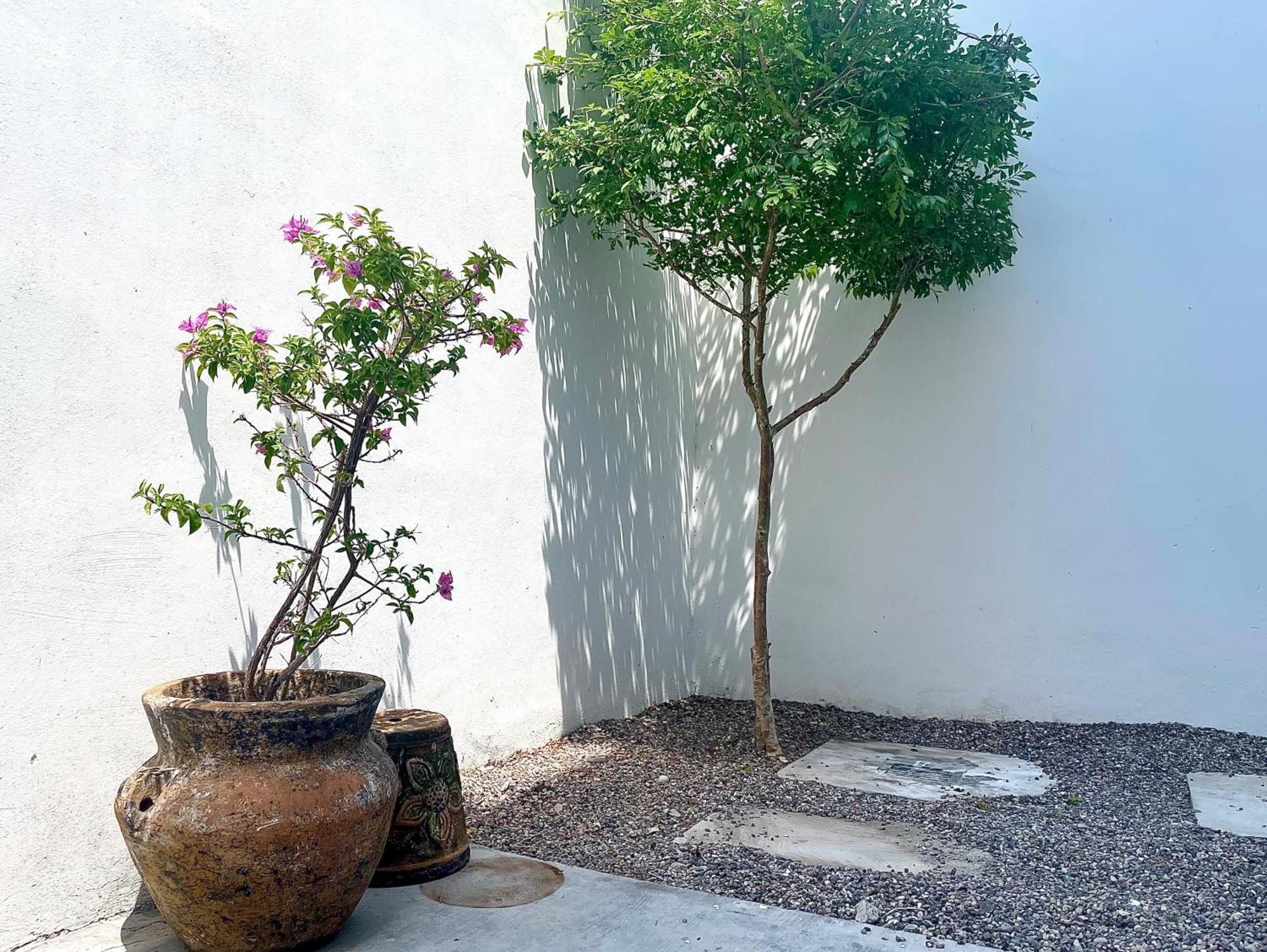 Departamentos Dos21 Villa Mazatlan Luaran gambar